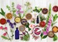 Why Interdependence and the Holistic Approach Matter in Homeschooling