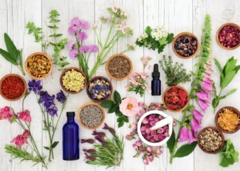 Why Interdependence and the Holistic Approach Matter in Homeschooling