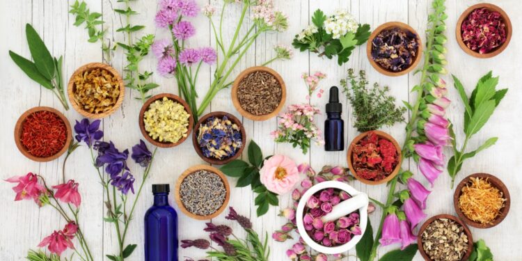 Why Interdependence and the Holistic Approach Matter in Homeschooling