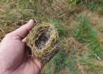 You Were Homeschooled?