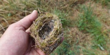 You Were Homeschooled?